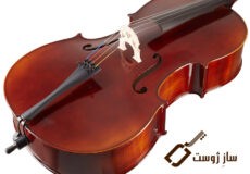 what-is-violin-cell