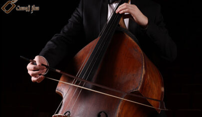 what-is-contrabass-instrument