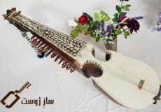 rubab-instrument
