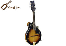 what-is-mandolin-instrument